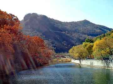 天天彩好彩天天免费，大鹏背景